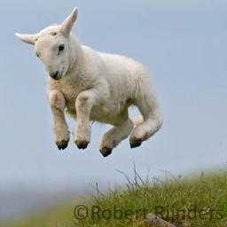 Spring is in the air